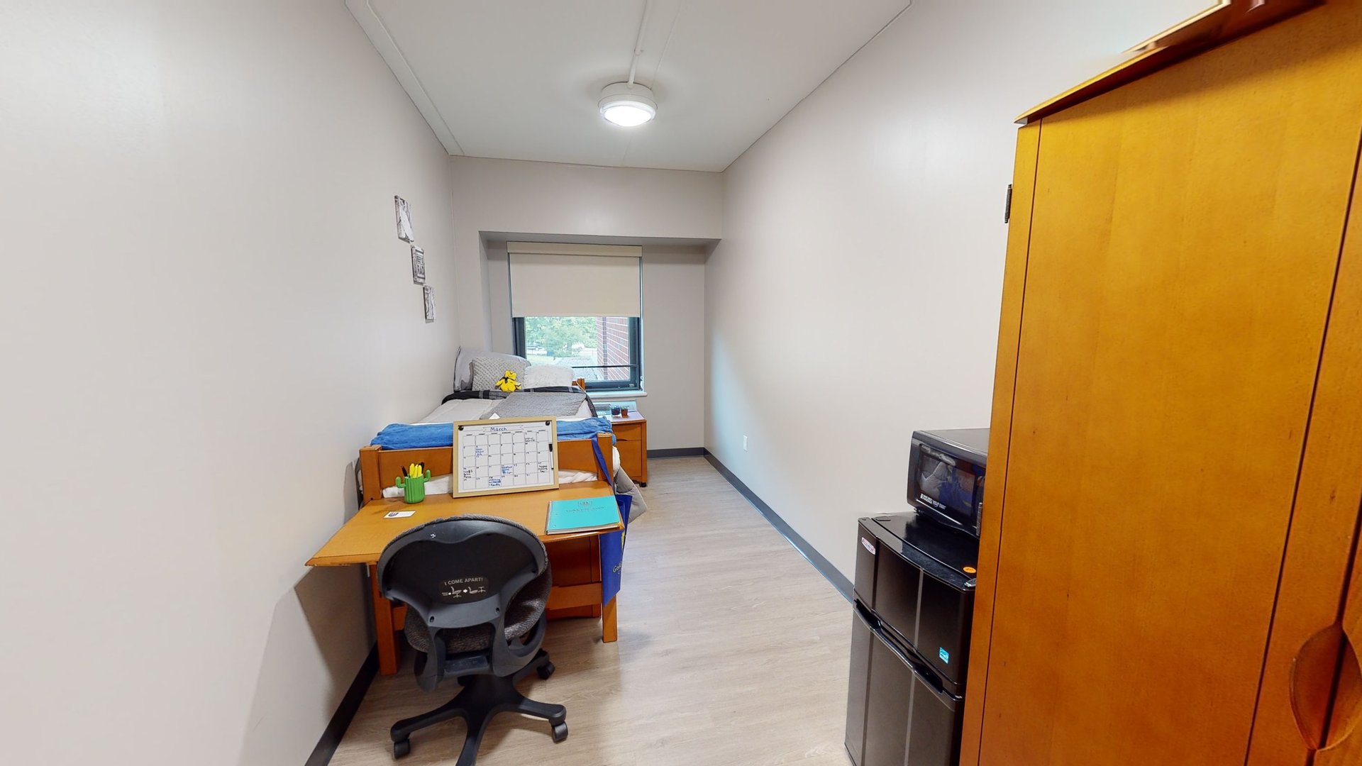 Franta Hall Single Room