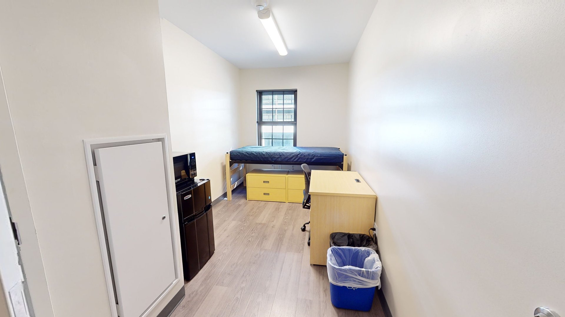 Thurston Hall: Single Room