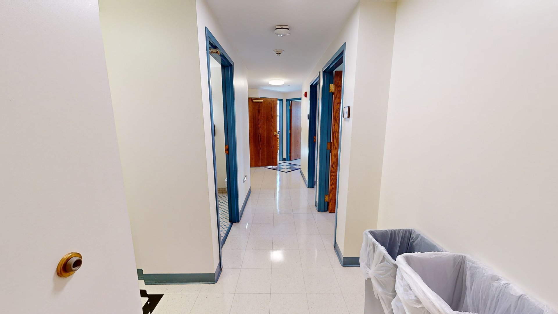 Sassafras Suite