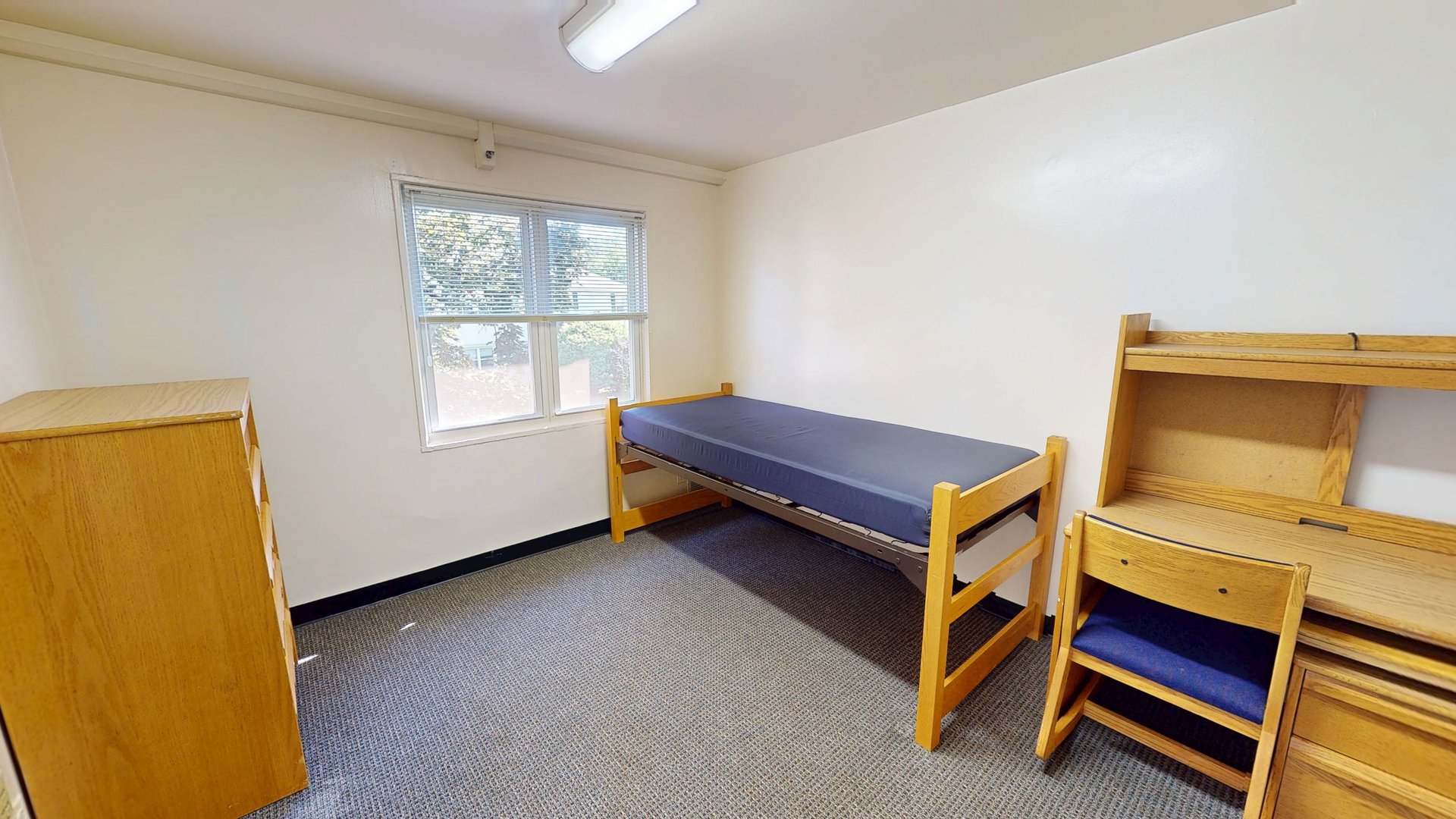 University Court Single Room