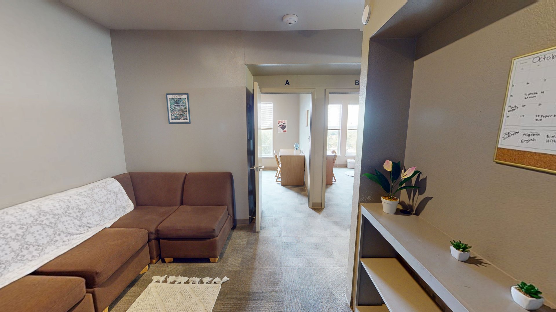 Phase II Suite