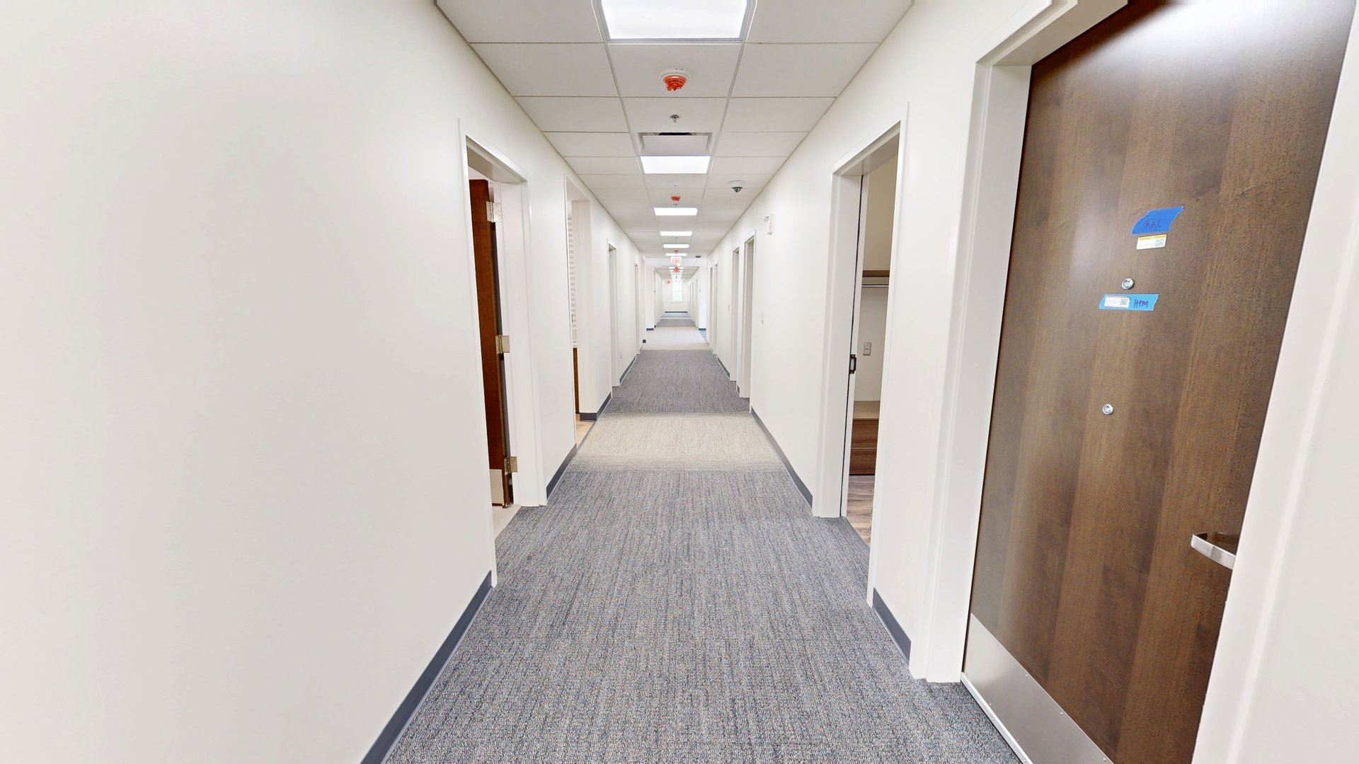 Azalea Hall Single / Bathroom