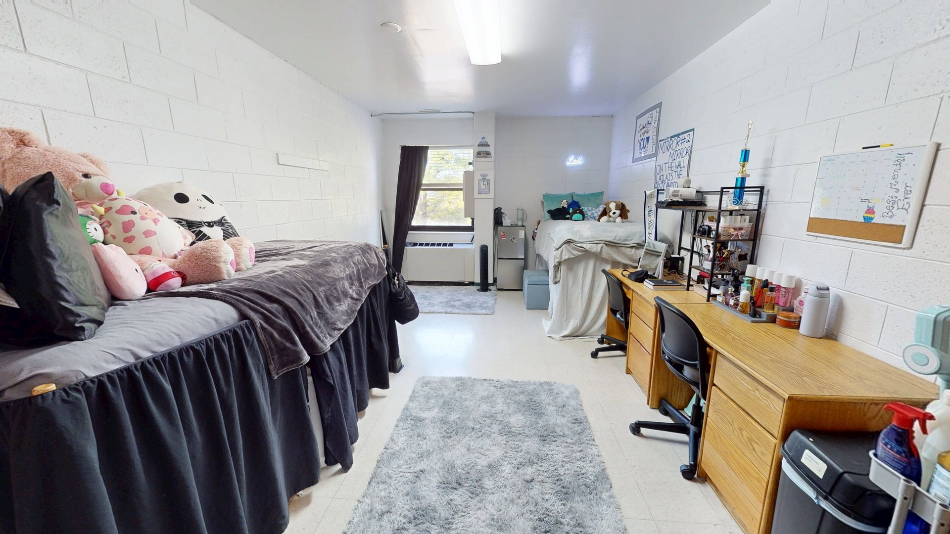 Rosa Alexander & Samuel Scott Halls Double Room