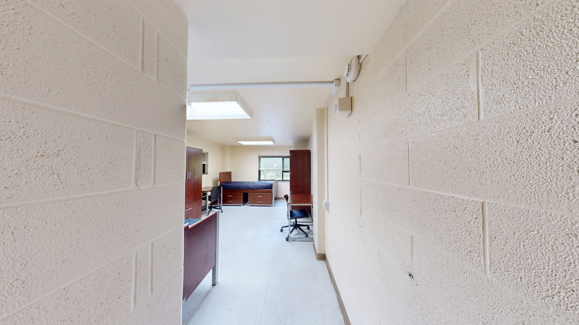 Midrise Honors College Double Room